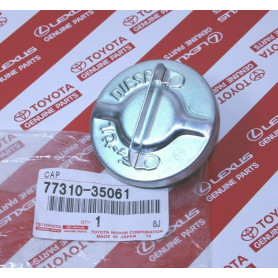 CACHE CHARNIERE DE BAIE DE PARE BRISE DROIT 