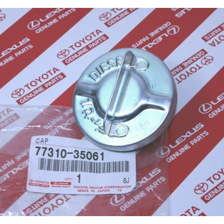 CACHE CHARNIERE DE BAIE DE PARE BRISE DROIT 