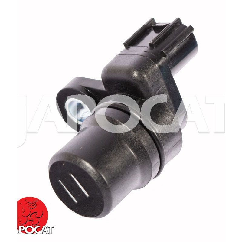 JOINT SPI 34x48x7 - D 