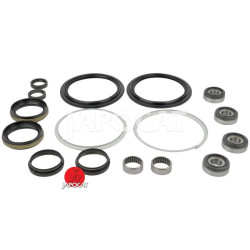 Pivots - kit de rénovation [Equipementier Origine] 