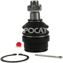 ROTULE Inférieure [Générique] 