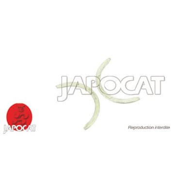 CALES LATERALES (le jeu)