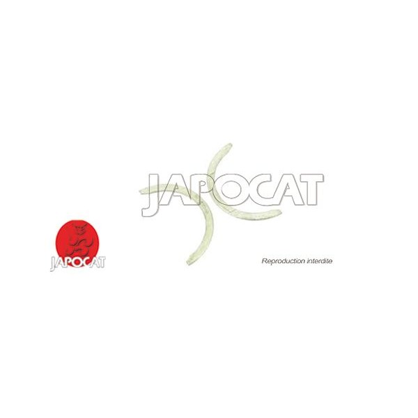 CALES LATERALES (le jeu)