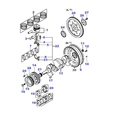 Poulie damper - boulon [Origine Constructeur]