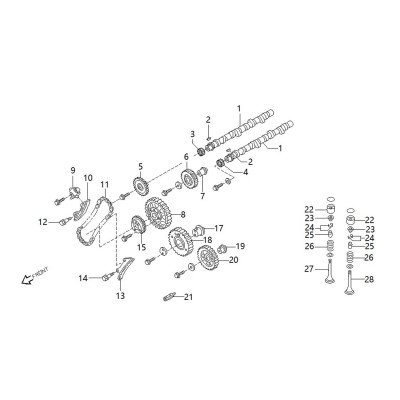 Distribution - guide de chaine [Origine Constructeur]
