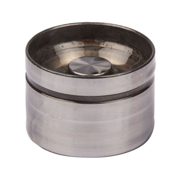 POUSSOIR HYDRAULIQUE [OEM]