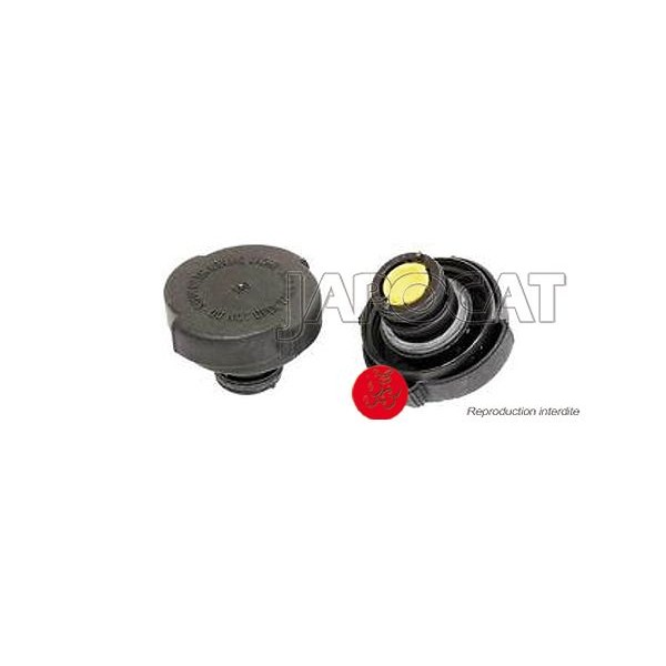 BOUCHON de Vase d'Expansion