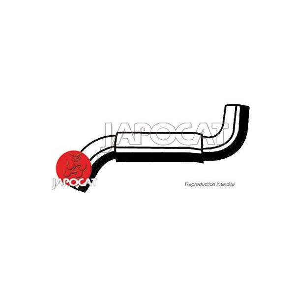 DURIT Inférieure de Radiateur