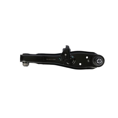 BRAS de SUSPENSION Inférieur AVG