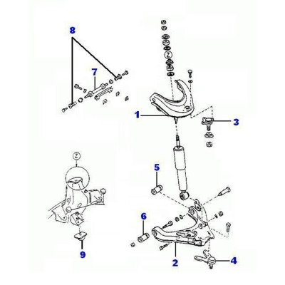 Triangle / bras inférieur [Générique]