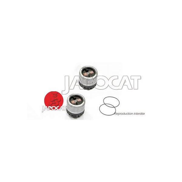 MOYEUX DEBRAYABLES Manuels AVM (la paire)