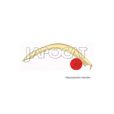 EXTENSION d'AILE AVG