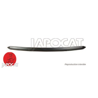 MOULURE de Capot