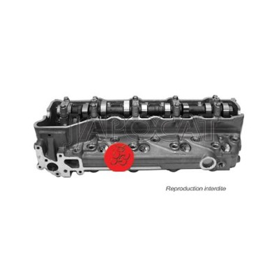 CULASSE Equipée AMC Fabrication Européenne