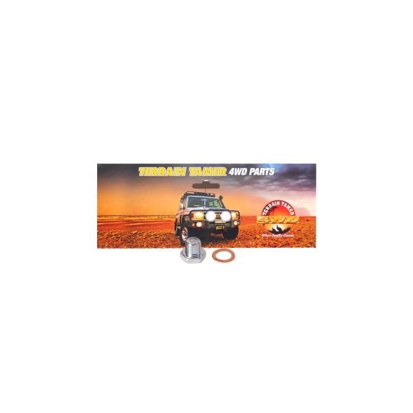 DIFF FILLER PLUG & GASKET