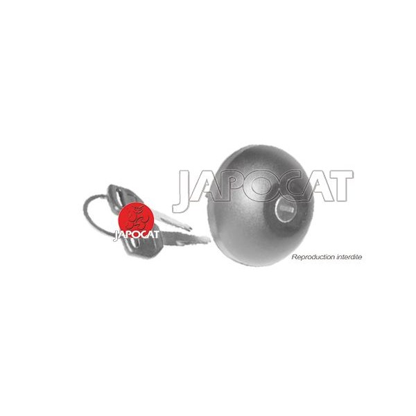 BOUCHON de RESERVOIR avec CLEFS