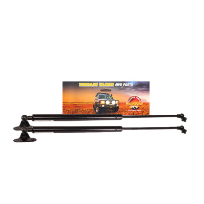 STRUT REAR DOOR PAIR