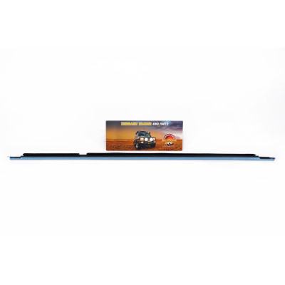 MOULDING ASSY REAR DOOR BELT R/H