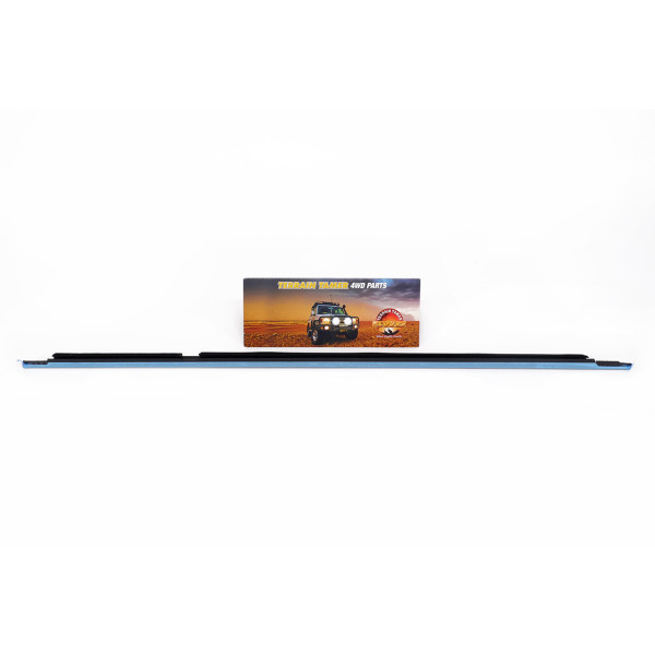 MOULDING ASSY REAR DOOR BELT R/H