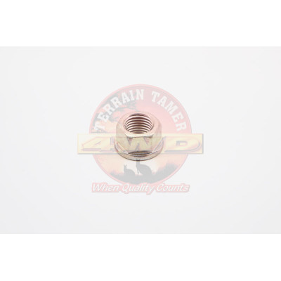 NUT CAMBER ADJUST PLATE