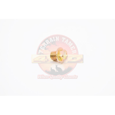 PLUG SUMP 18MM WITH 17MM LONG THREAD
