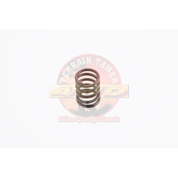 SPRING REAR BRAKE SHOE HOLD DOWN
