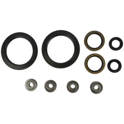 Pivots - kit de rénovation [Equipementier Origine]