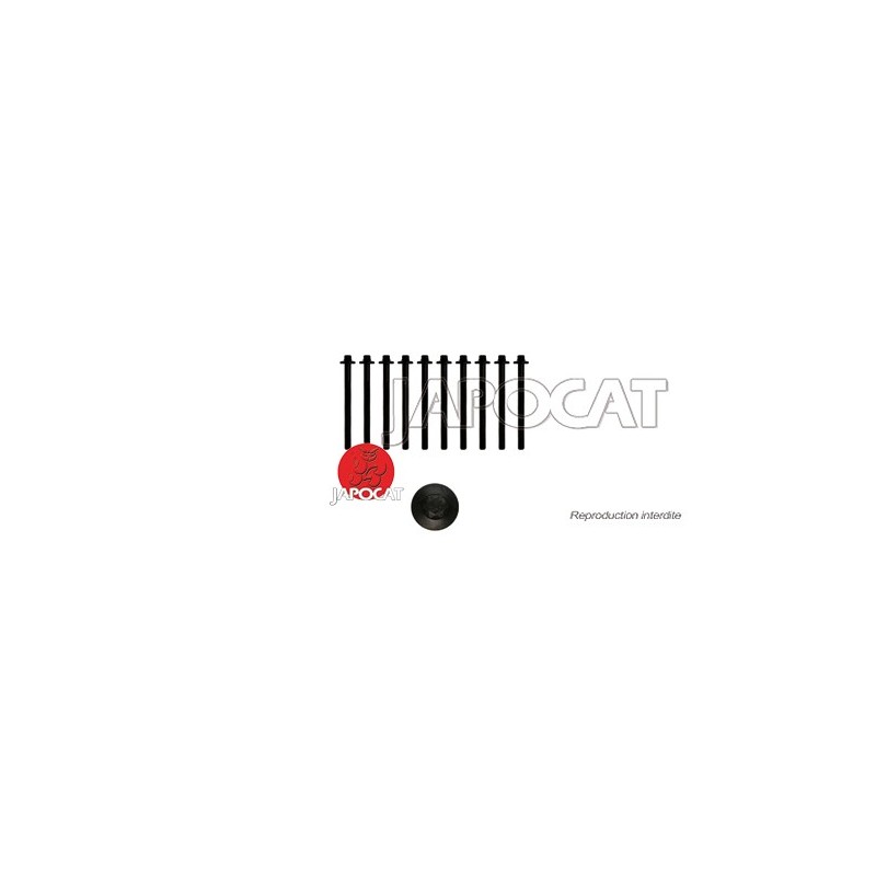 VIS de CULASSE [OEM] (le jeu)  - 1