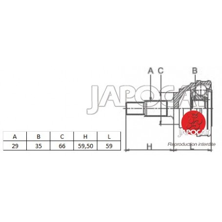 JOINT HOMOCINETIQUE / TETE de CARDAN