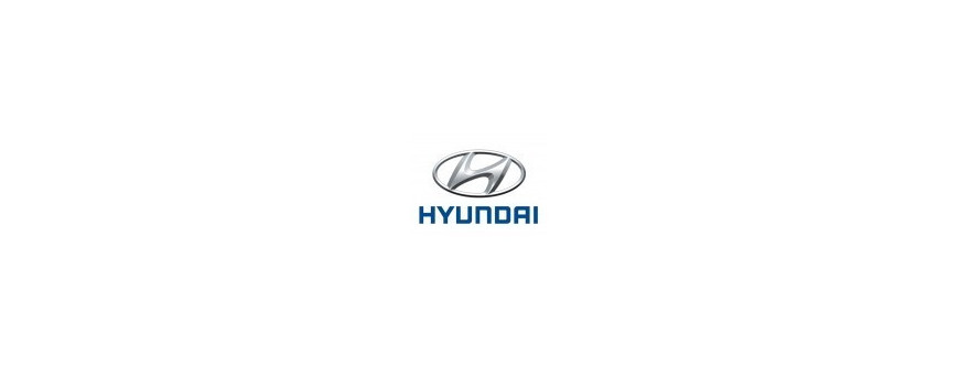 Catégorie HYUNDAI - Max 4x4, Fournisseur pieces 4x4 : Galloper Avant / Front , Galloper 3p / SWB Boîte transfert / transfer Box 