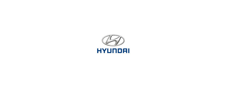 Catégorie Hyundai - Max 4x4, Fournisseur pieces 4x4 : 